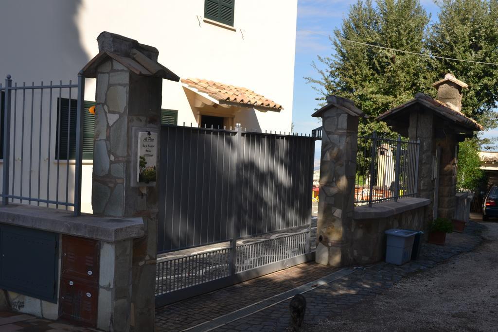 Al Pino B&B Grottaferrata Exterior foto
