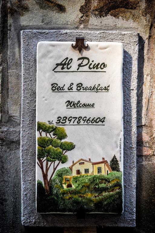 Al Pino B&B Grottaferrata Exterior foto